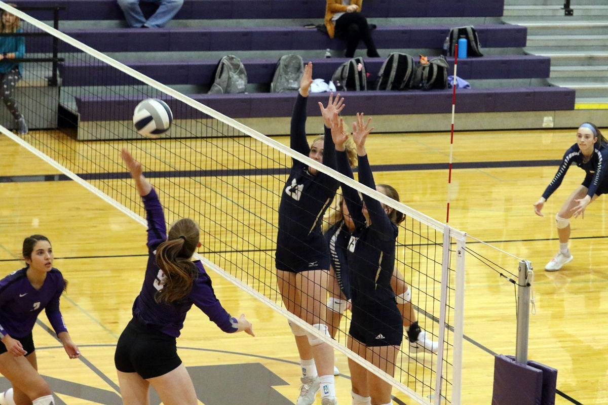 York VB vs Milford (10).jpg